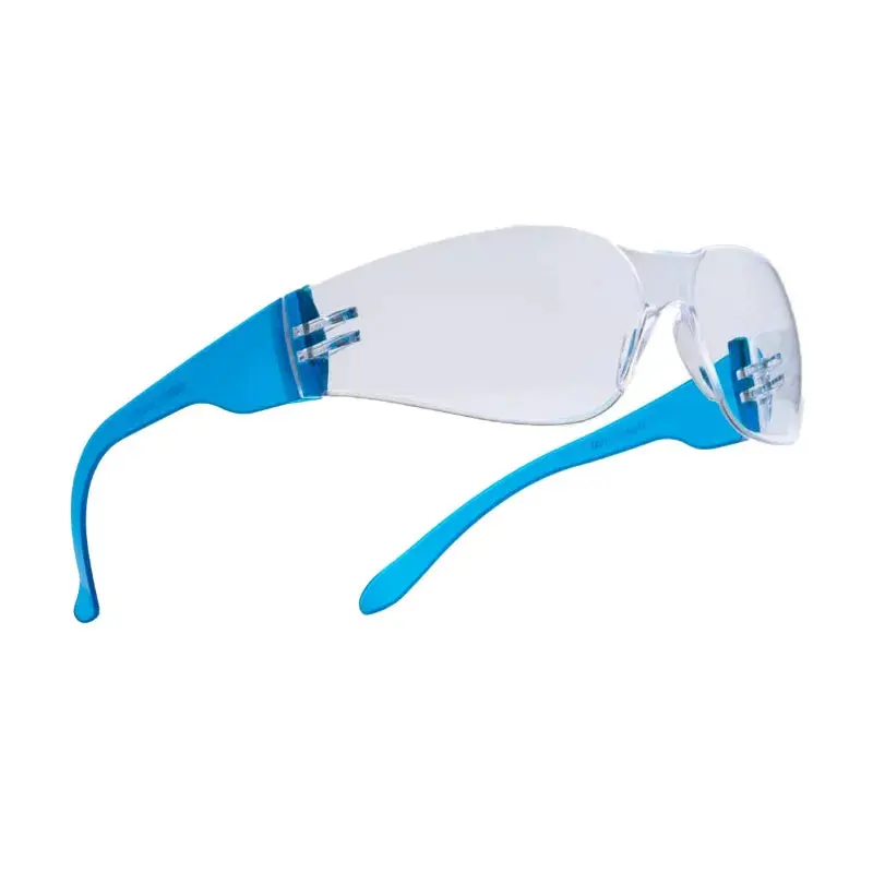 Indospec Industrial Safety Goggles 1