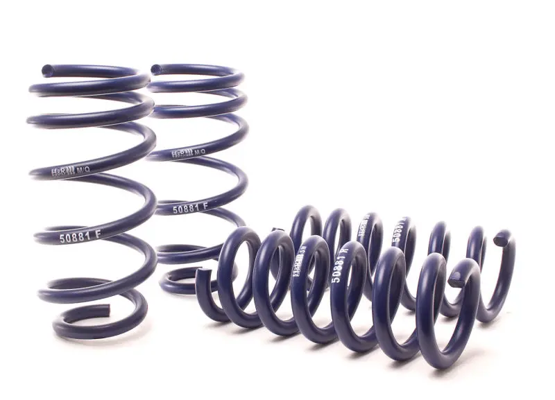 H&R 11-14 Dodge Charger Rt (2Wd) Rt Max V8 Sport Spring 2