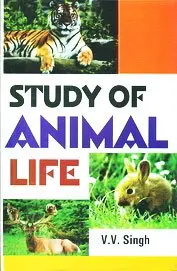 Study Of Animal Life By V.V. Singh [Hardcover] Old Book 1