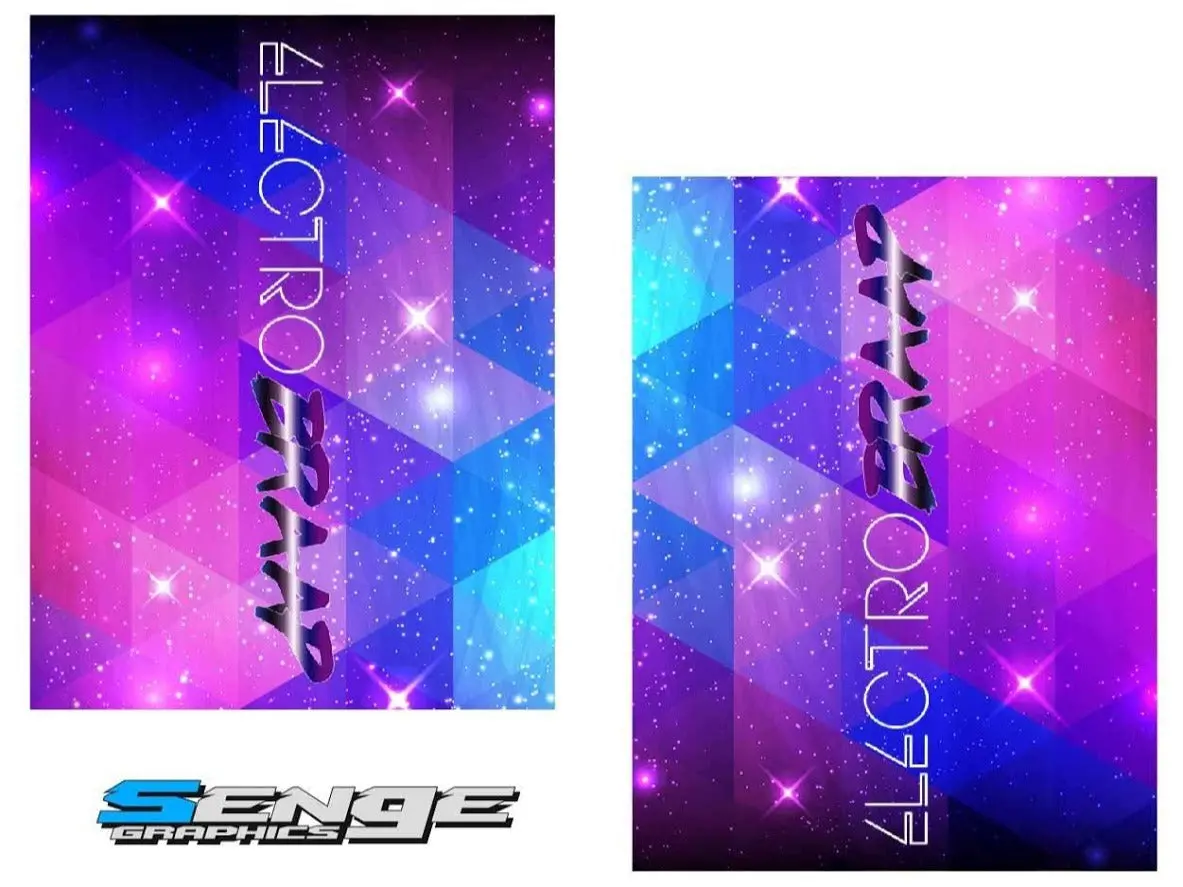 Electrobraap Fork Tube Guard 1