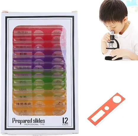 Diy 12 Kinds Prepared Microscope Slides Of Animals Flowers Insects Sample Specimens Biological Microscope 2