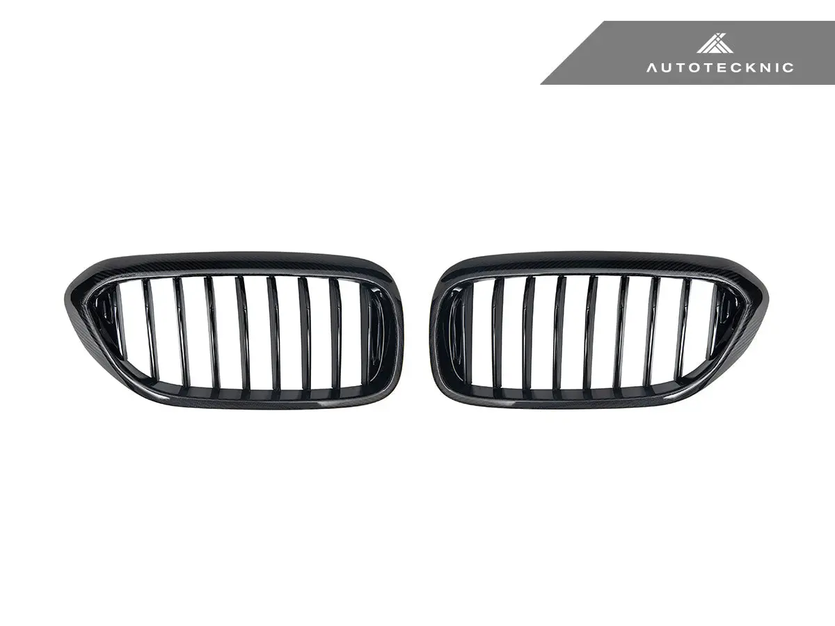 Autotecknic Carbon Fiber Front Grille Set - G30 5-Series 2