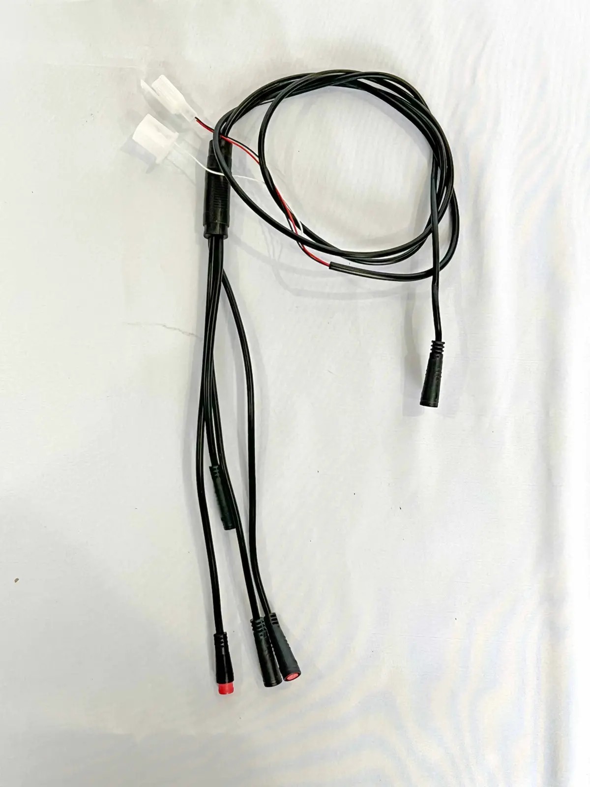 Accessory Harness - Rizzler 2026 1