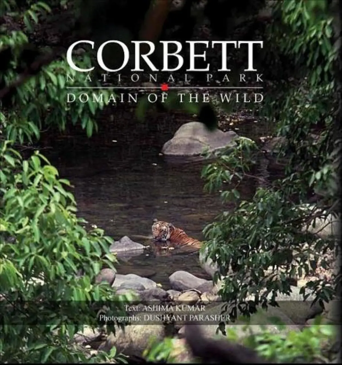 Corbett National Park : Domain Of The Wild By Ashima Kumar [Hardcover] 1