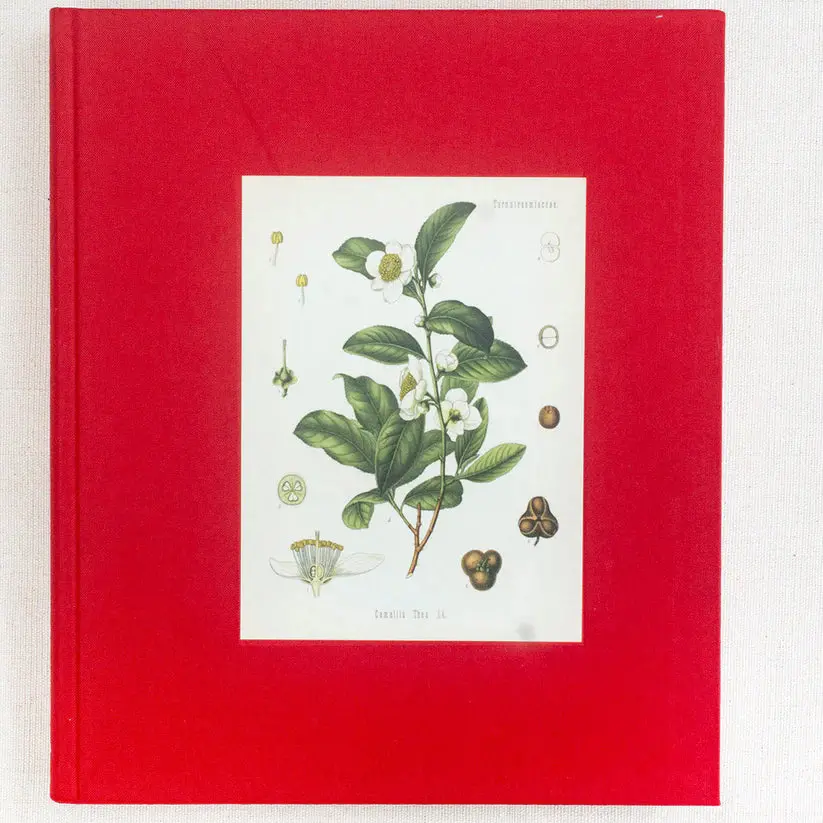 Ceylon Tea : The Trade That Made A Nation (Hardcover) Old Book 1
