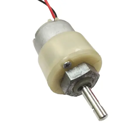 300 Rpm Center Shaft Dc 12V Gear Motor 1