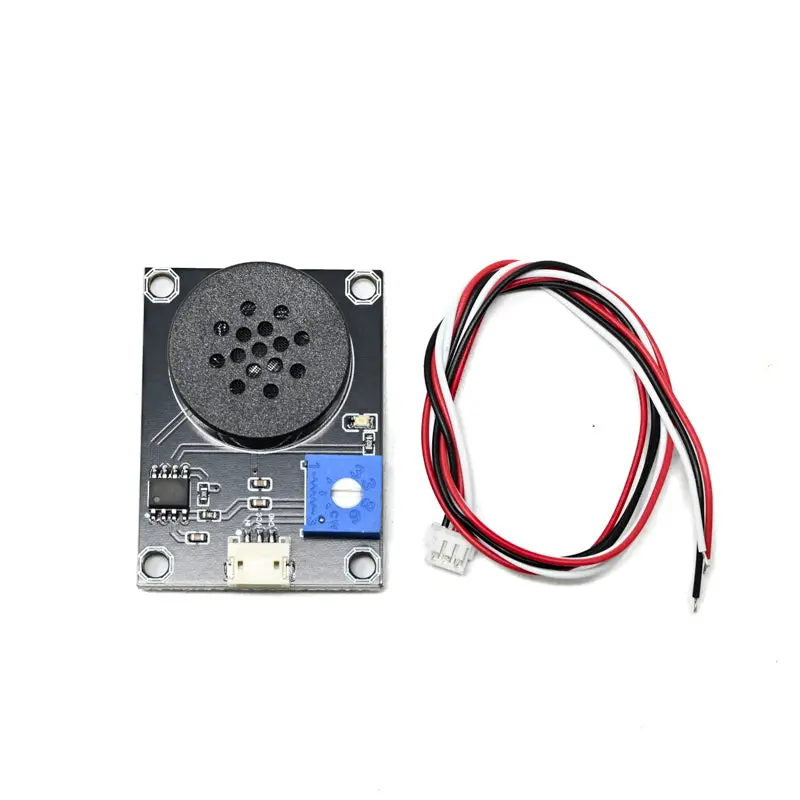 Digital Speaker Module 1