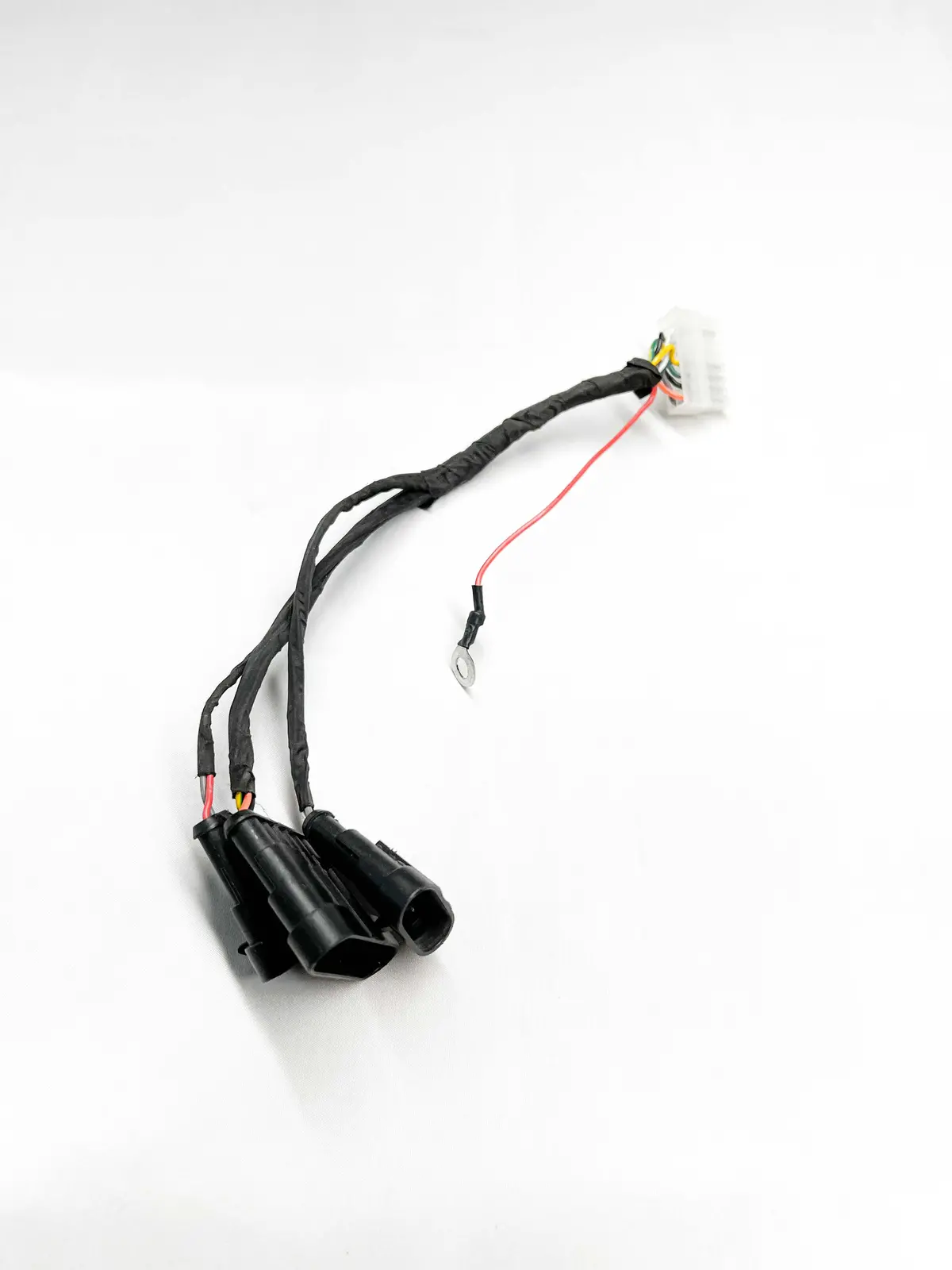 Harness - Etm Rtr 2025 1