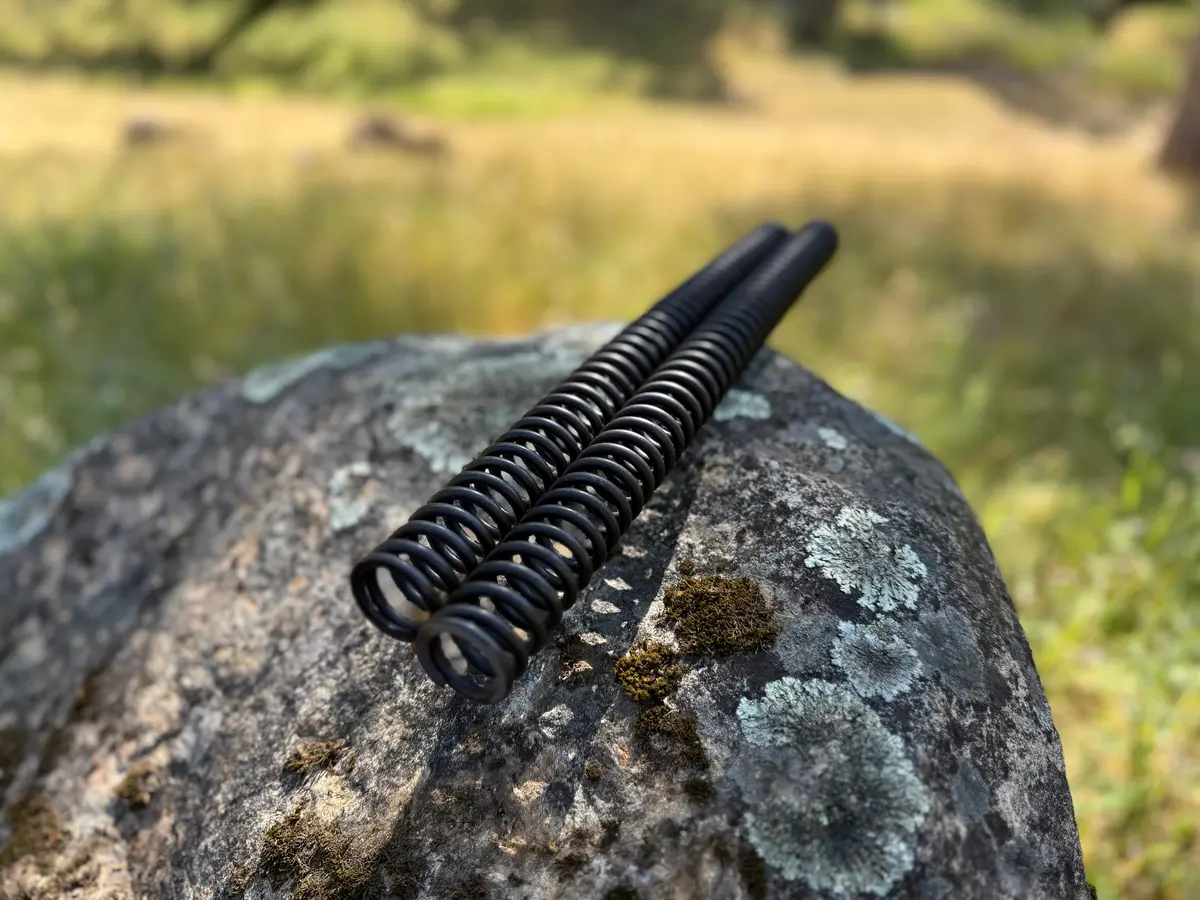 Etm Rtr Mod Fork Springs 1
