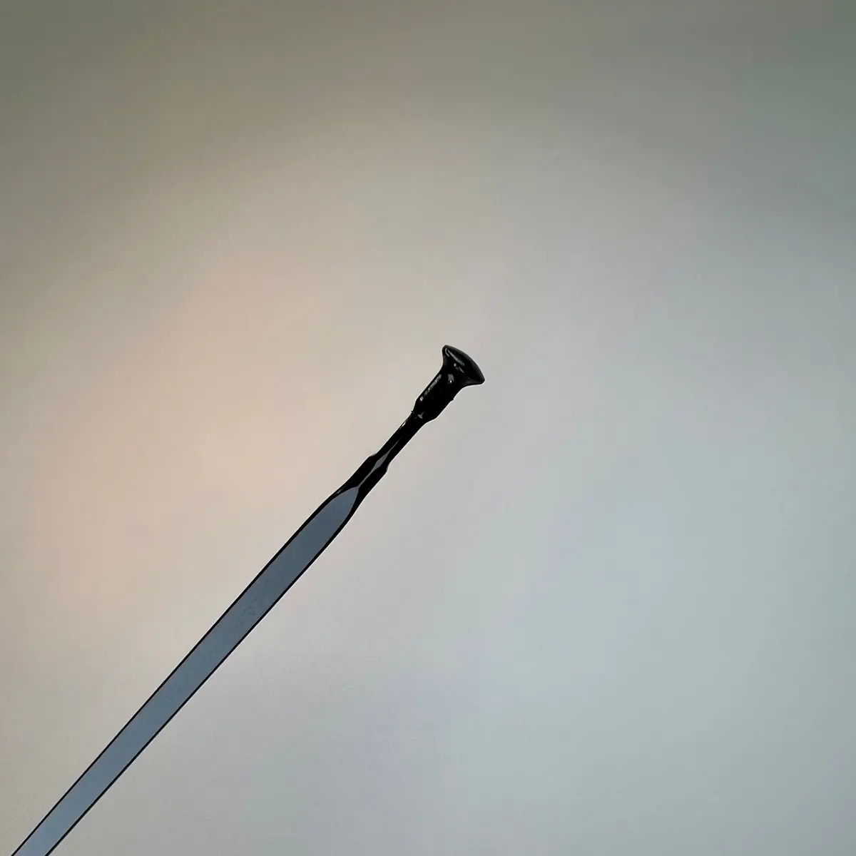 Mavic Cosmic Pro Carbon Ust Steel Spoke (2019+) 2