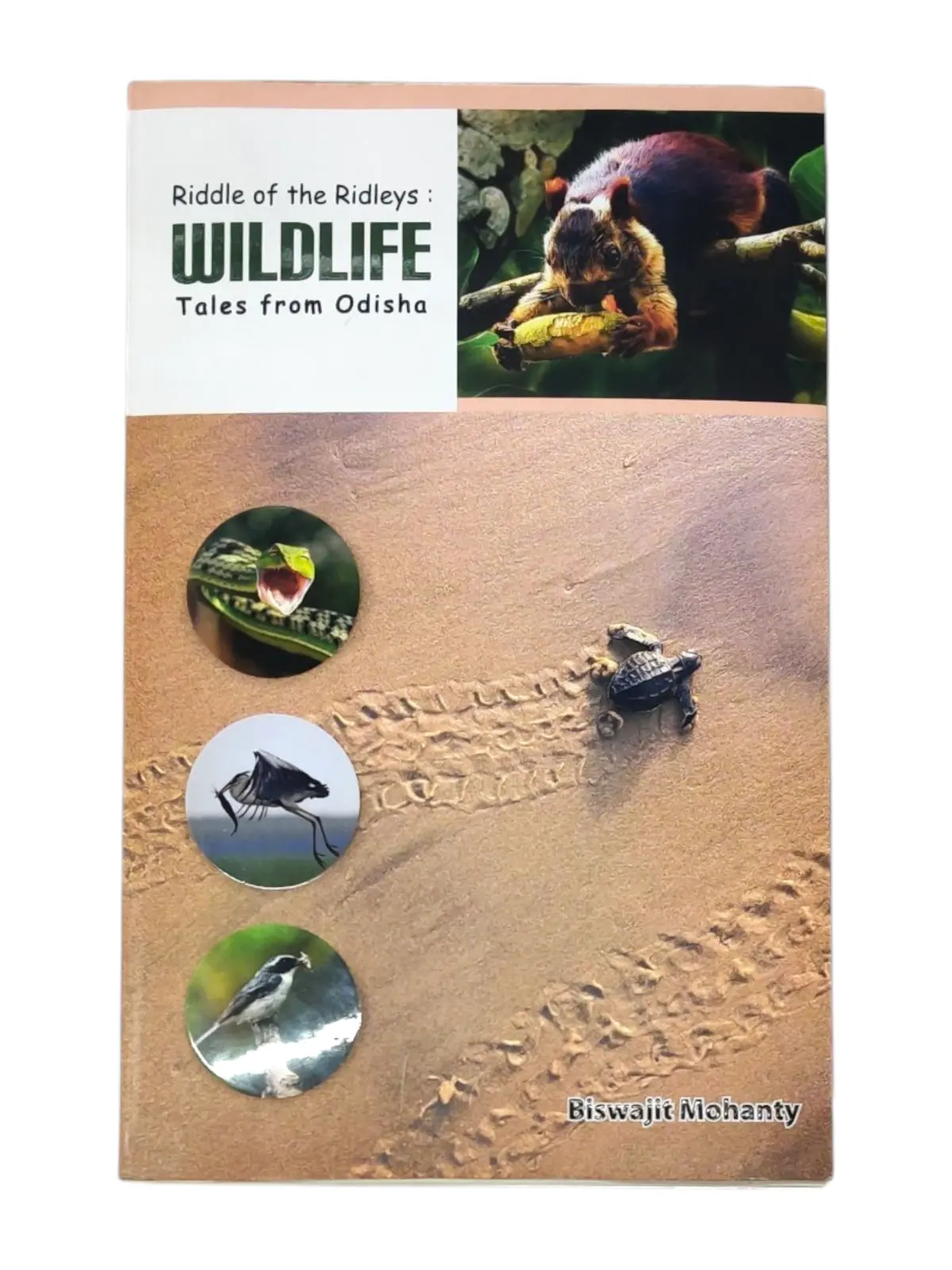 Riddle Of The Ridleys: Wildlife Tales From Odisha By Biswajit Mohanty (Paperback) 1