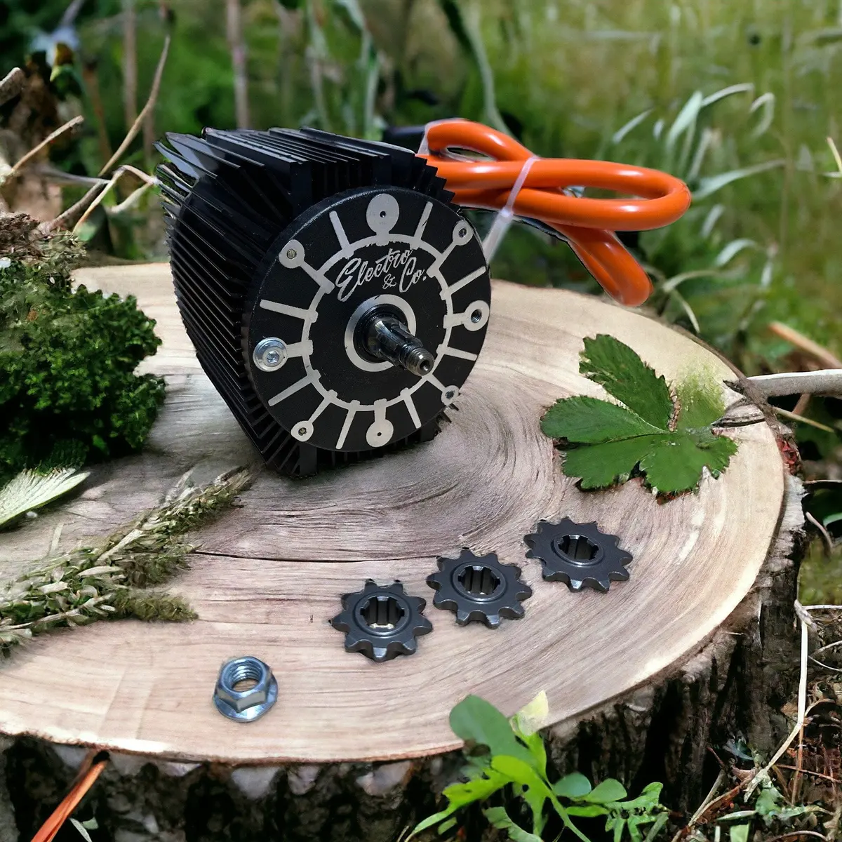 The "One" Brushless Motor 1