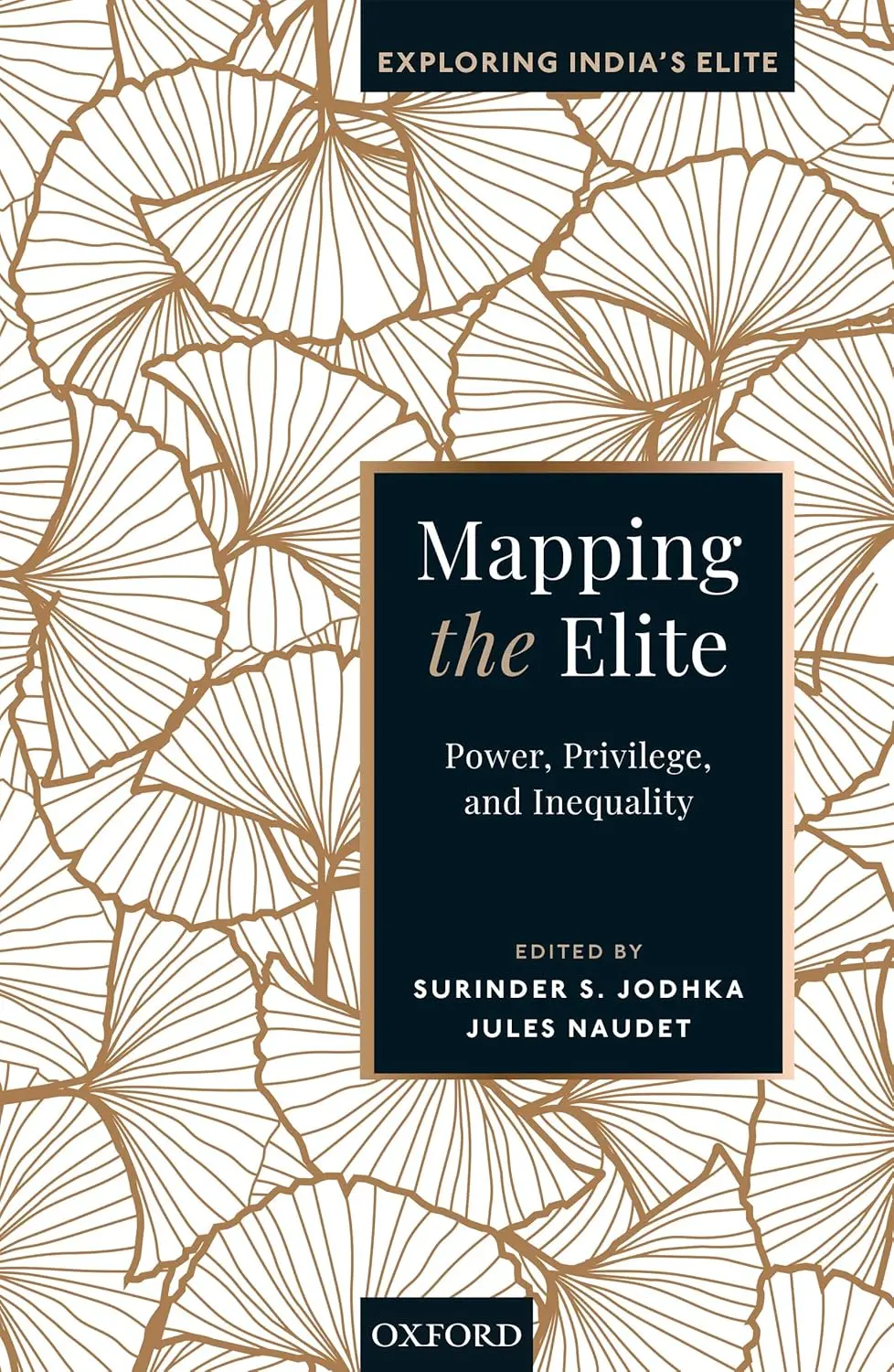 Mapping The Elite : Power, Privilege, And Inequality By Surinder S. Jodhka & Jules Naudet [Hardcover] 1