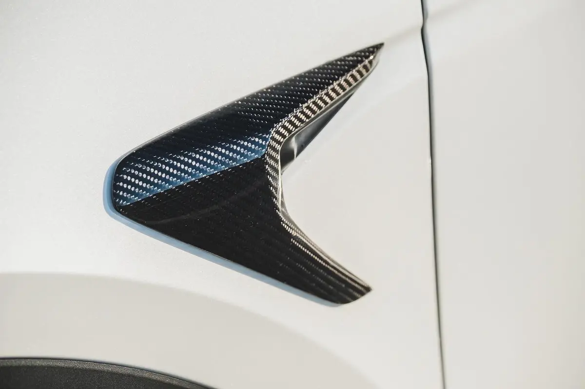 Tesla Model 3 Carbon Fiber Camera Cover(2017-2020) 1
