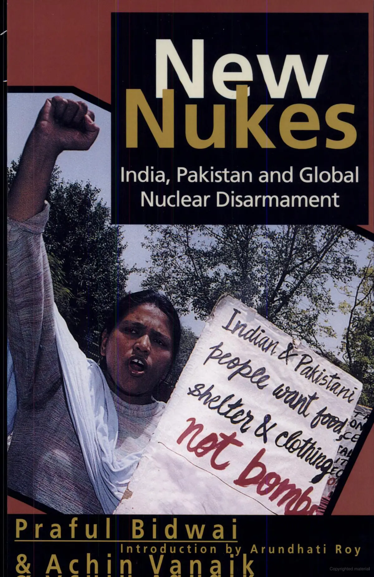 New Nukes : India, Pakistan And Global Nuclear Disarmament By Praful Bidwai & Achin Vanaik [Paperback] 1