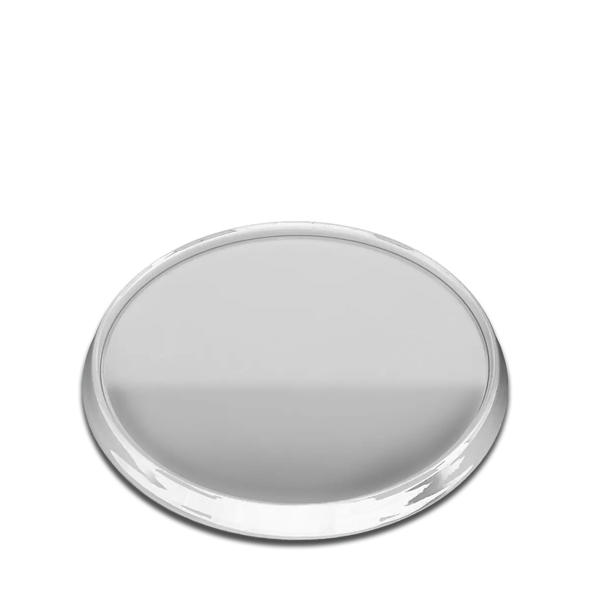 Replacement Rally Wheel Center Cap & Logo 1