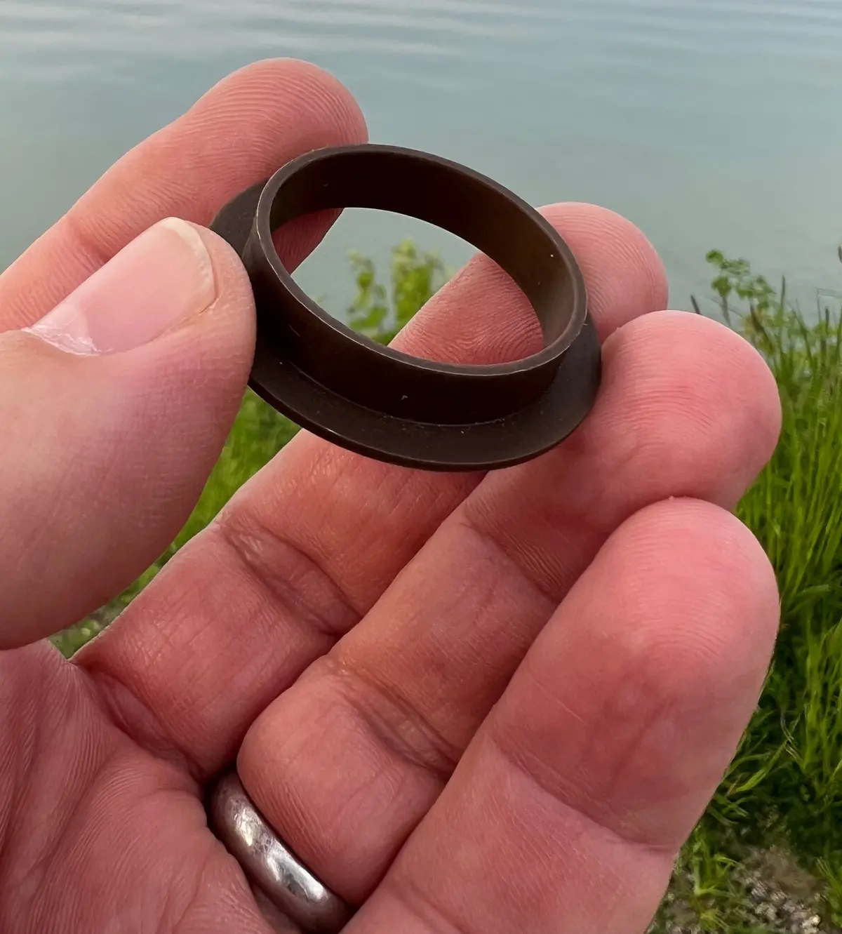Rogue Mechanic Bushing For Mavic Freehub Body | Upgrade For Ftsl & Ftsx 1