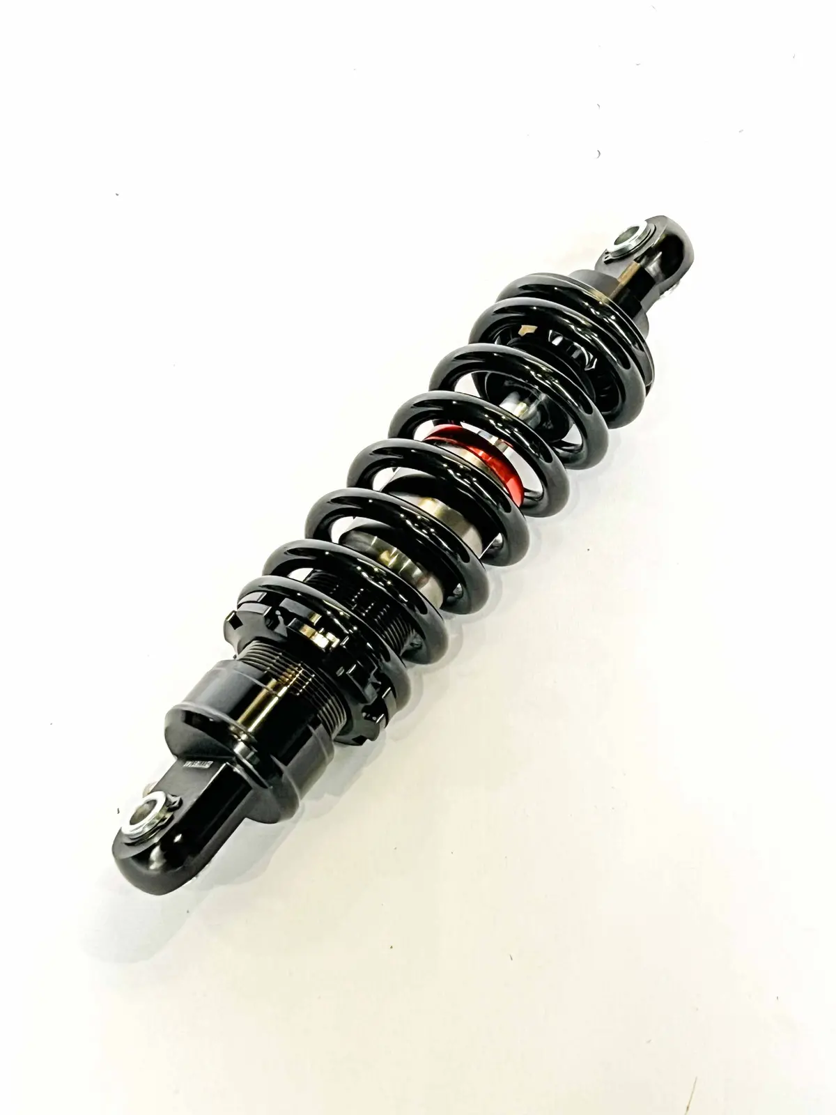 Shock - Rizzler 2026 1
