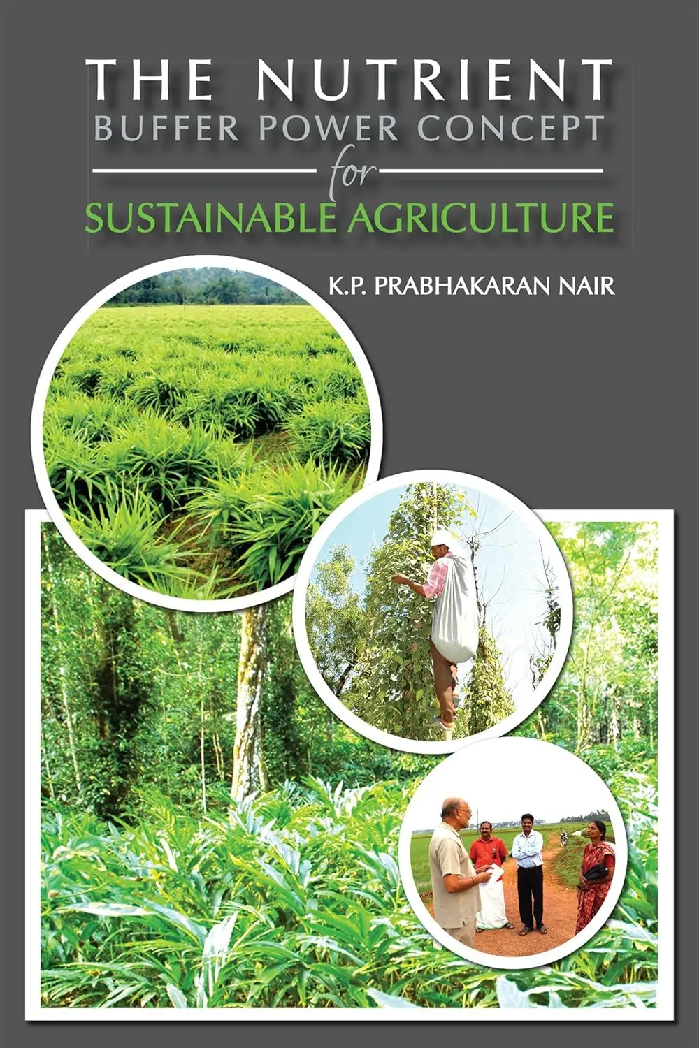 The Nutrient : Buffer Power Concept For Sustainable Agriculture By K.P. Prabhakaran Nair [Hardcover] 1