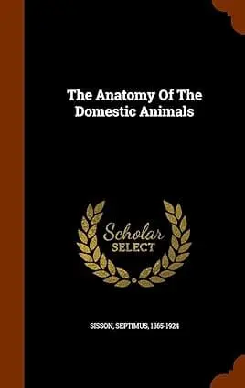 The Anatony Of The Domestic Animals By Septimus Sission (Hardcover) 1