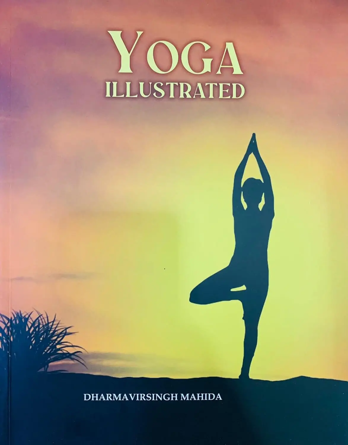 Yoga Illustrated (Publication Division)  By Dharmavirsingh Mahida [Paperback] 1