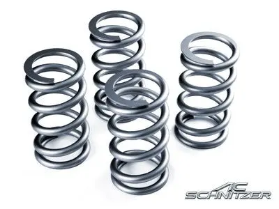 Ac Schnitzer Lowering Springs - Bmw F10 M5 1