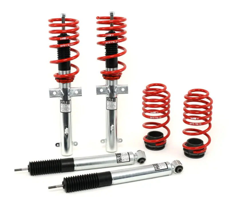 H&R 07-10 Ford Gt500/Gt500 Convertible V8 Street Perf. Coil Over 1