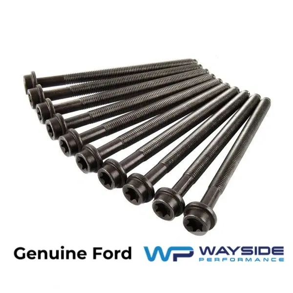 Mk7 Ford Fiesta St St180 1.6 Ecoboost Genuine Ford Cylinder Head Bolts 1
