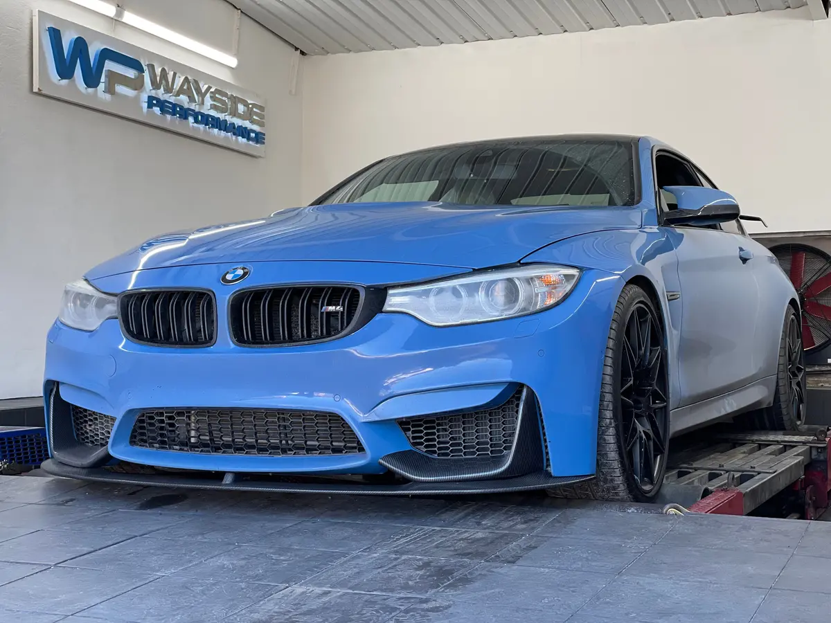 Dyno Health Check 1