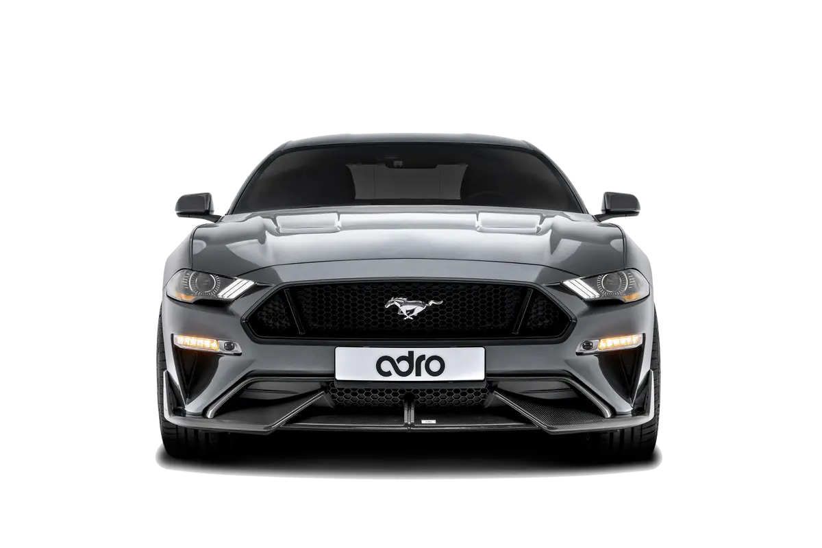Ford Mustang Carbon Fiber Front Lip 1