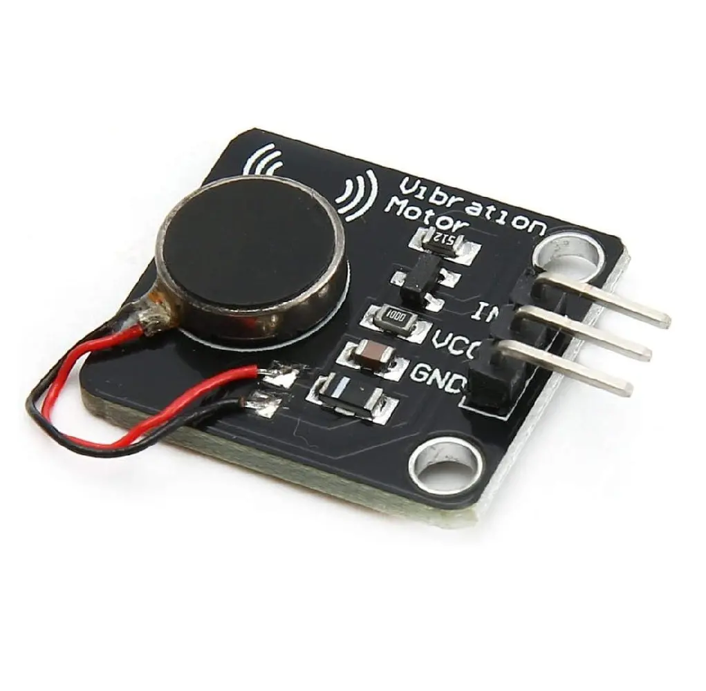 Vibration Motor Module 1