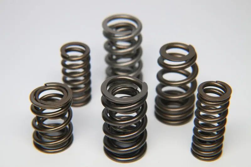 Ferrea Dual Valve Spring Set For Nissan Tb48De – 24-Piece Performance Kit 1