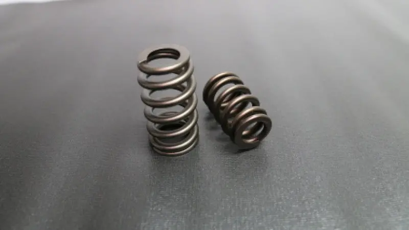 Ferrea Beehive Valve Spring Set For Ford 5.0L Dohc 32-Valve Engines 1